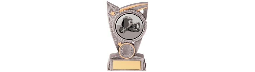 TRIUMPH BOXING RESIN TROPHY WITH OPTIONAL CUSTOM CENTRE - 2 SIZES - 12.5CM - 15CM